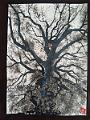 encre de chine_0031